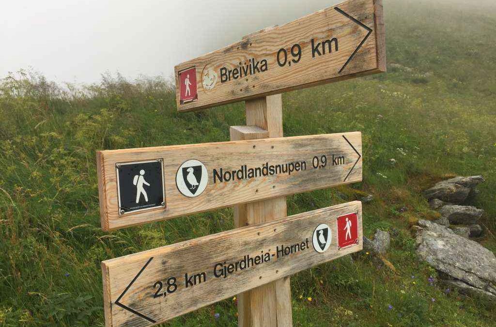 Nordlandsnupen 450 moh. 02.08.2017