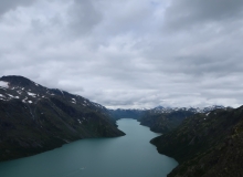 IMG_0517