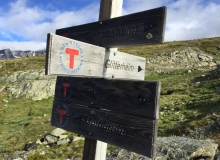 IMG_3317