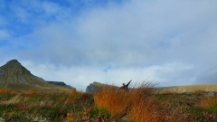 2015-11-01 19.34.23