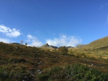 IMG_0186
