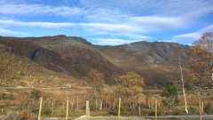 kvitnykja-2015-10-11-11.22.11