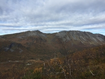 kvitnykja-2015-10-11-11.51.01
