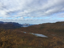 kvitnykja-2015-10-11-11.51.06