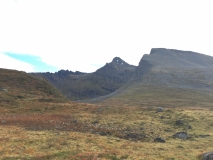kvitnykja-2015-10-11-12.14.56