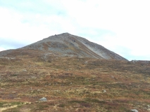 kvitnykja-2015-10-11-12.15.04