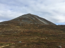 kvitnykja-2015-10-11-12.15.13