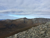 kvitnykja-2015-10-11-12.40.38