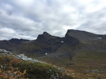 kvitnykja-2015-10-11-14.54.48