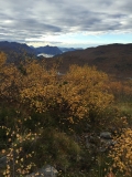 kvitnykja-2015-10-11-15.28.55