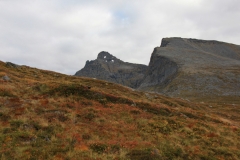 kvitnykja-2015-10-11-16.09.22