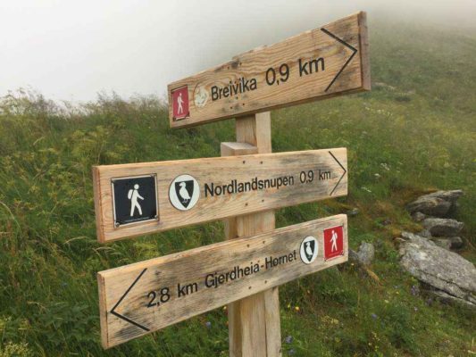 Read more about the article Nordlandsnupen 450 moh. 02.08.2017