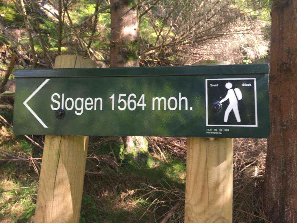 You are currently viewing Slogen 1564 moh. 25.08.17 (fra Øye)