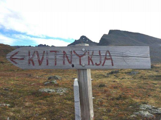 Read more about the article Kvitnykja 1244 moh. 11.10.2015