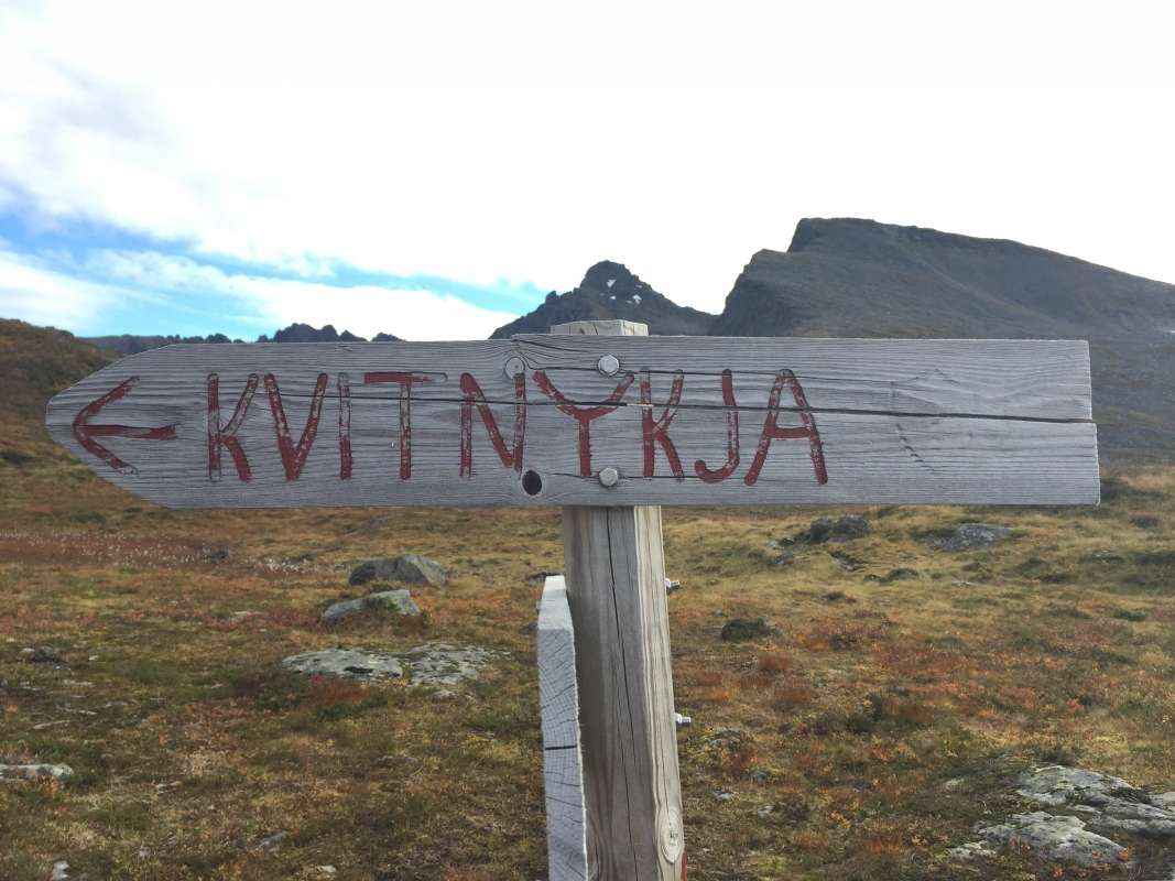 You are currently viewing Kvitnykja 1244 moh. 11.10.2015