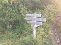 Where to go ?