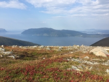Høst i fjellet