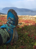 Høst i fjellet