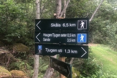 Ett lite stykke igjen til toppen