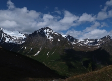 IMG_1980