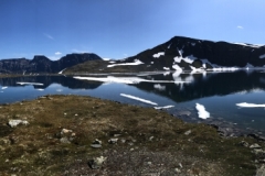 IMG_1155