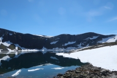 IMG_3397